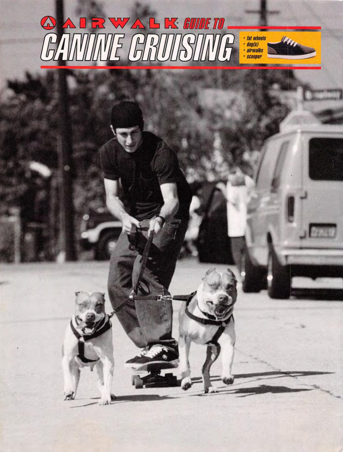 Airwalk 1996 2.png