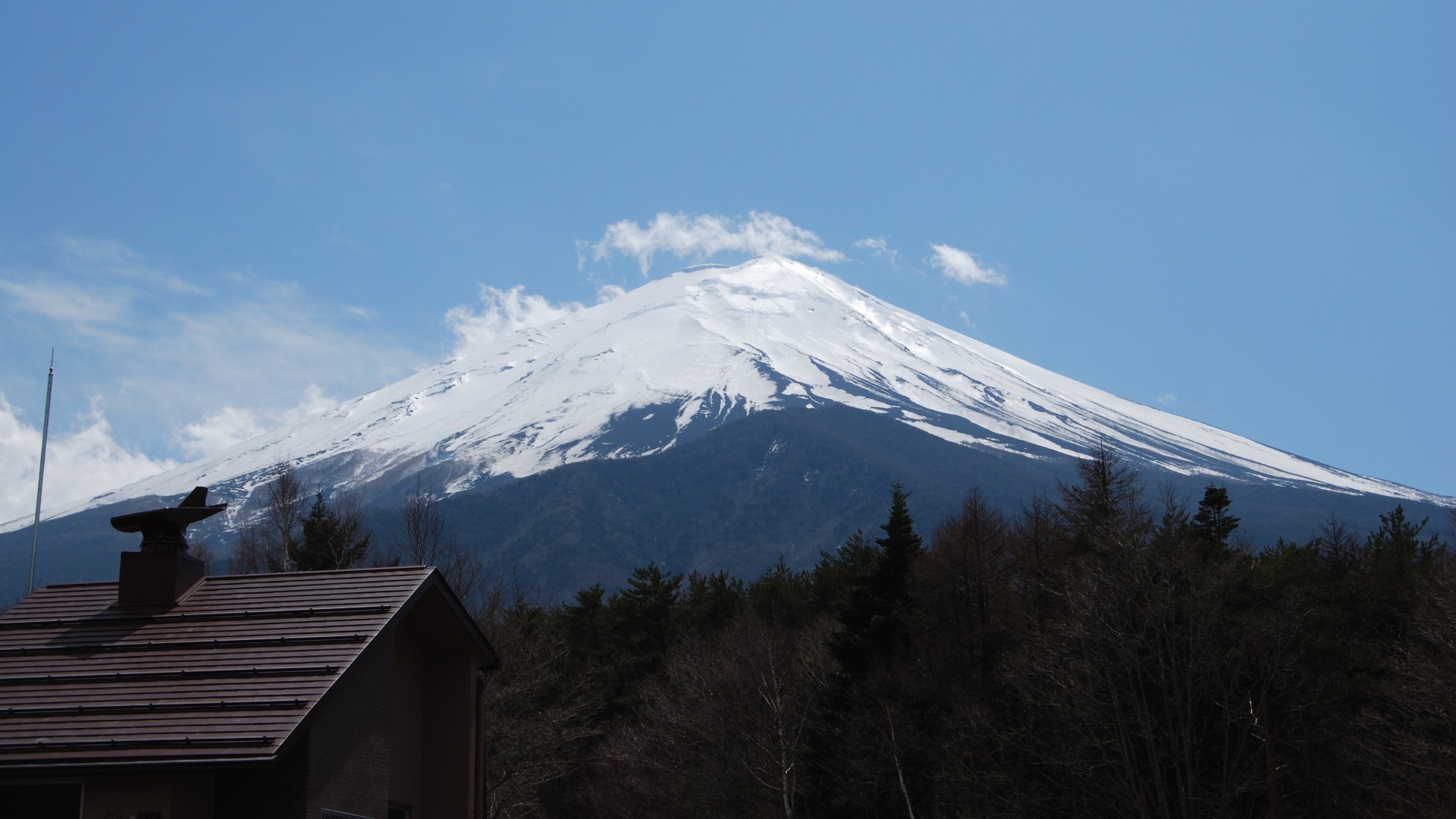 DSC_2711.JPG