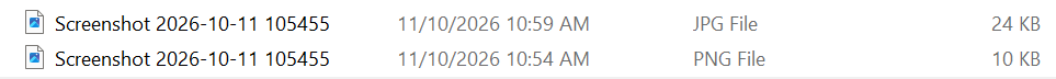 Screenshot 2026-10-11 110102.png