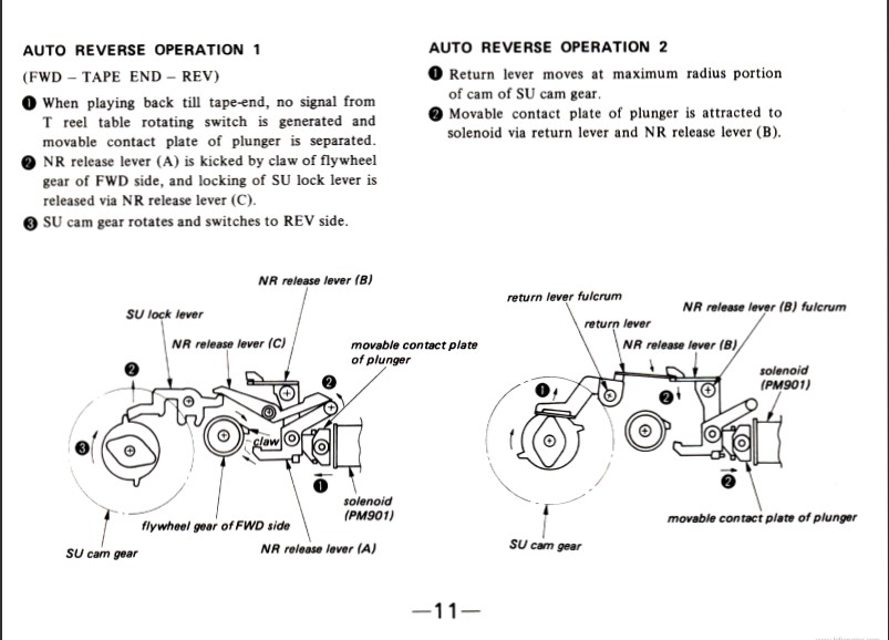 wm40.jpg