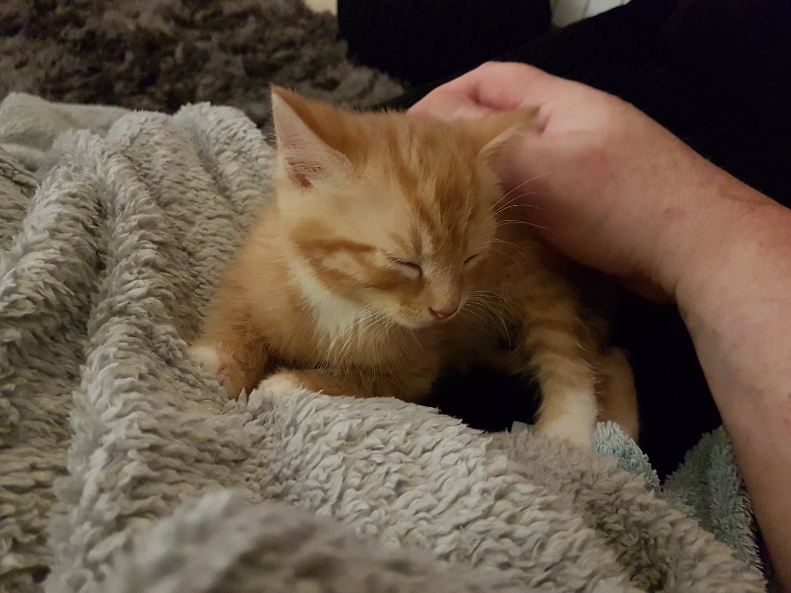 W'Orange Comes Home - 17 April 2019 (12).jpg