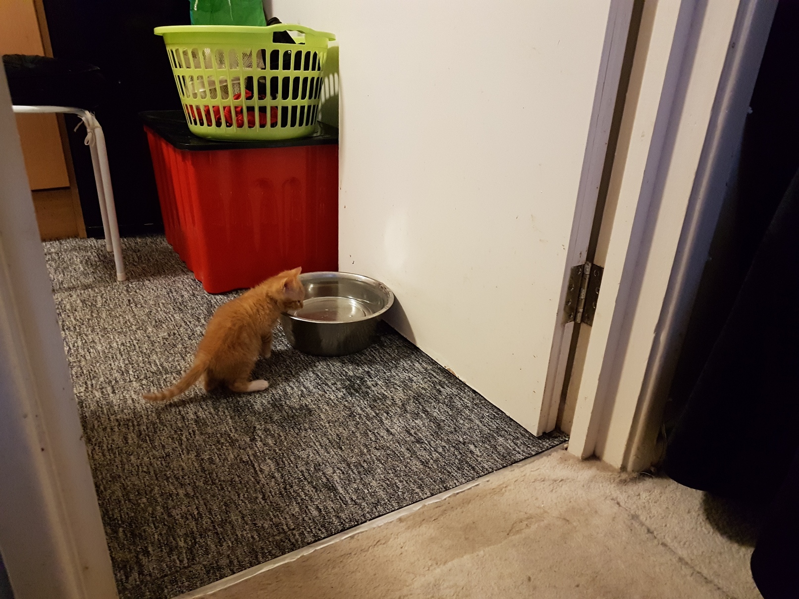 W'Orange Comes Home - 17 April 2019 (17).jpg