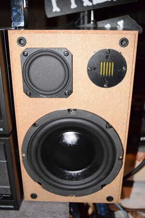 rx-c300 speaker.jpg