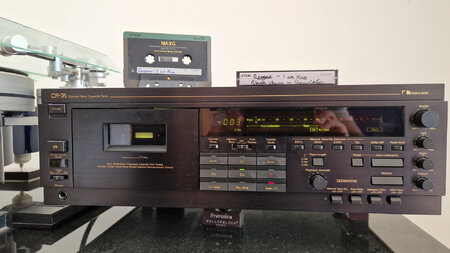 Reggae I am king.jpg