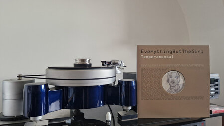 Everything But The Girl - Temperamental.jpg