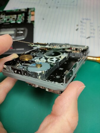 IMG20251031111043.jpg