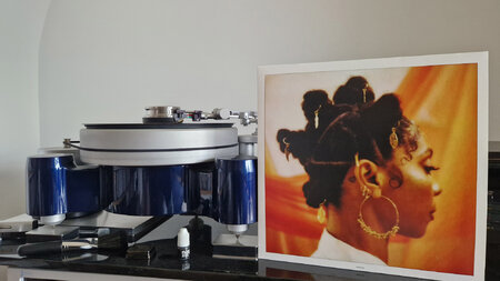 Hollie Cook - Shy Girl.jpg