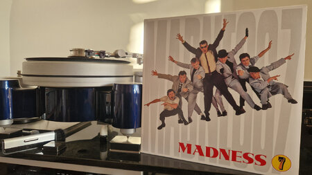 Madness - 7.jpg