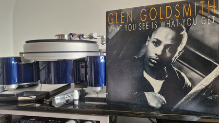 Glen Goldsmith - What you see is what you get.jpg