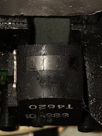 IMG_5487.jpg