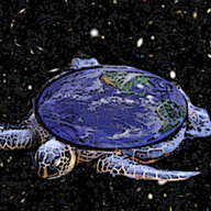 MaturinTheTurtle