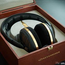 Headphones Sennheiser HD540 Gold 04