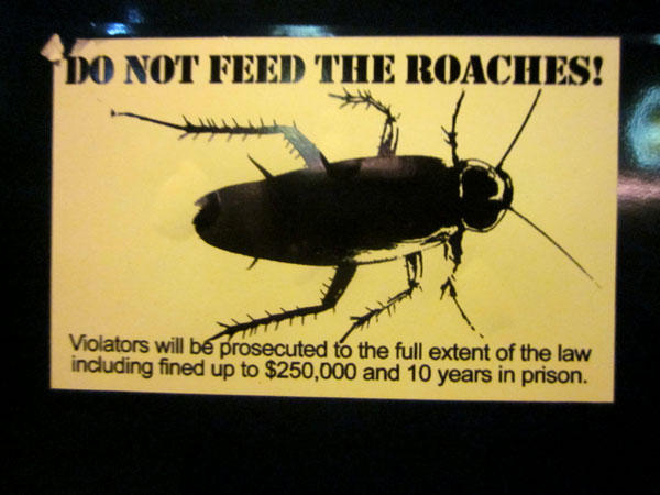 do-not-feed-the-roaches